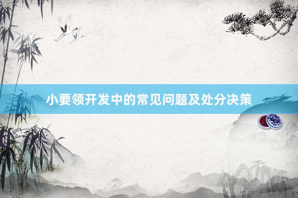 小要领开发中的常见问题及处分决策